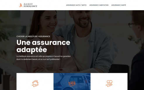 https://www.audit-assurance.info